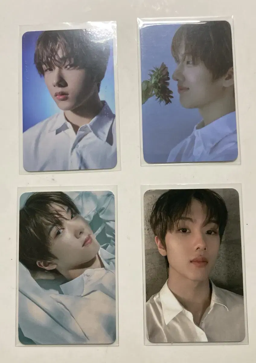 Jisung Daydream tc bulk/ jisungphotocard