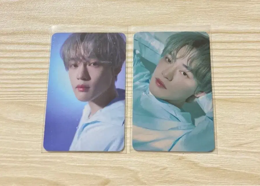 Chenle Daydream tc bulk/chenle-photocard