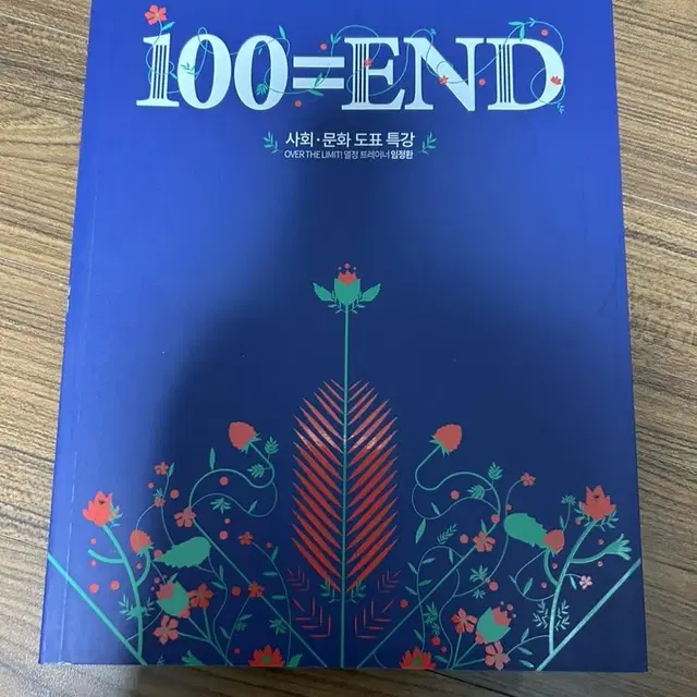 임정환 사회문화 도표 100=END