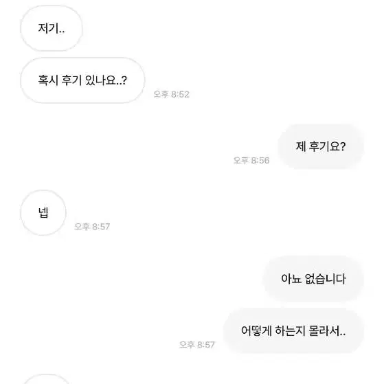 아이브 미니브 나오리 인형 구매자