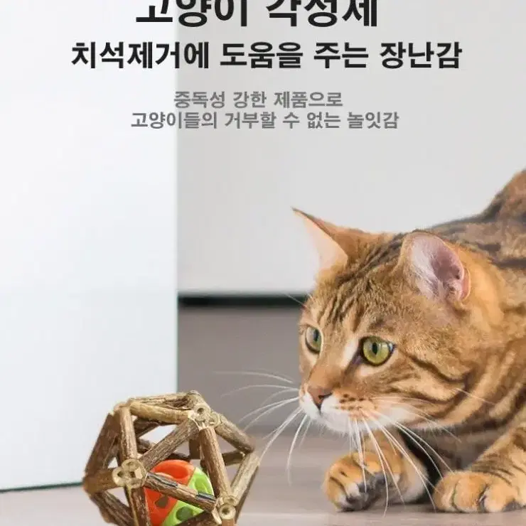 고양이 마따따비 캣닢 볼 장난감