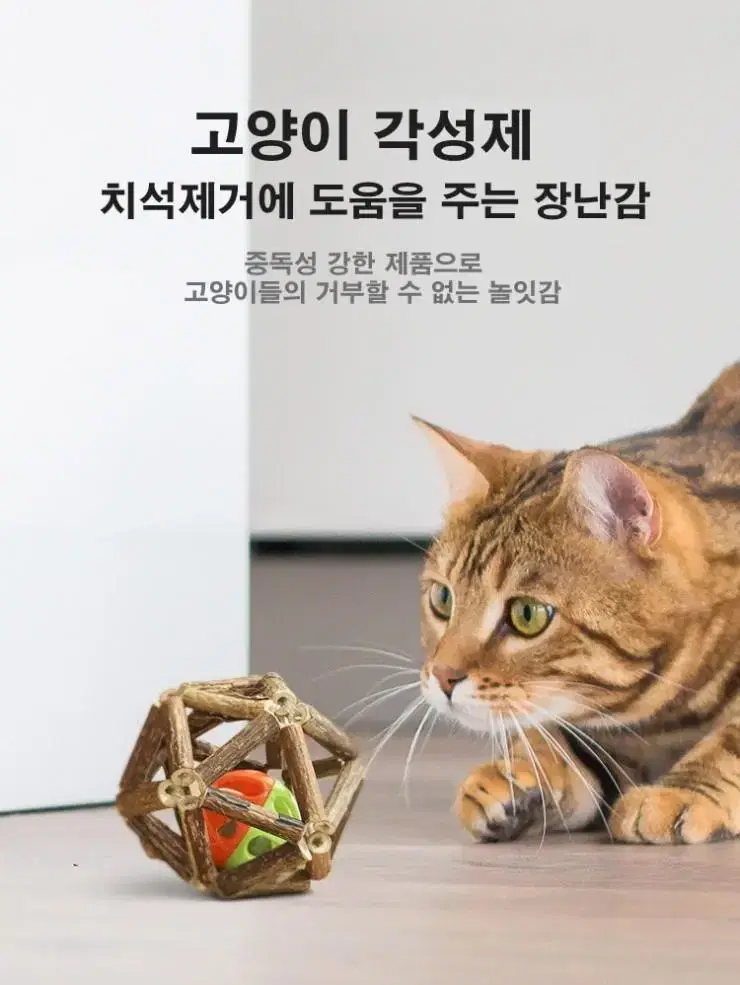 고양이 마따따비 캣닢 볼 장난감