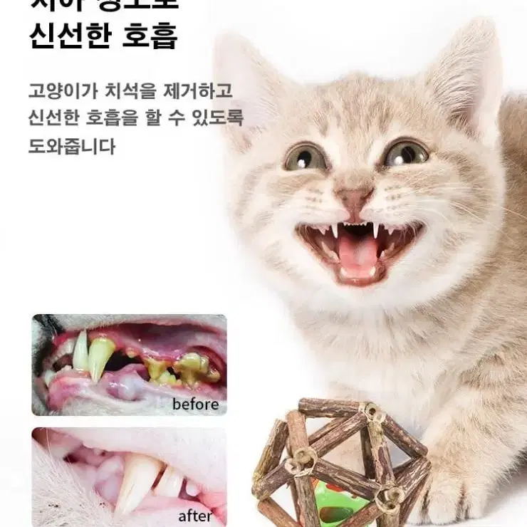 고양이 마따따비 캣닢 볼 장난감