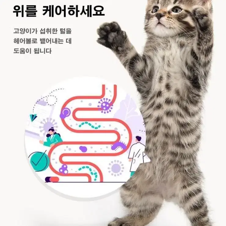 고양이 마따따비 캣닢 볼 장난감