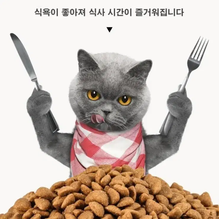 고양이 마따따비 캣닢 볼 장난감