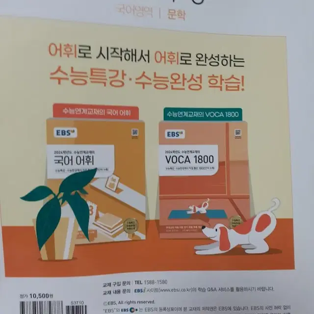 수능완성 수능특강 판매 택포  (물리,독서,문학