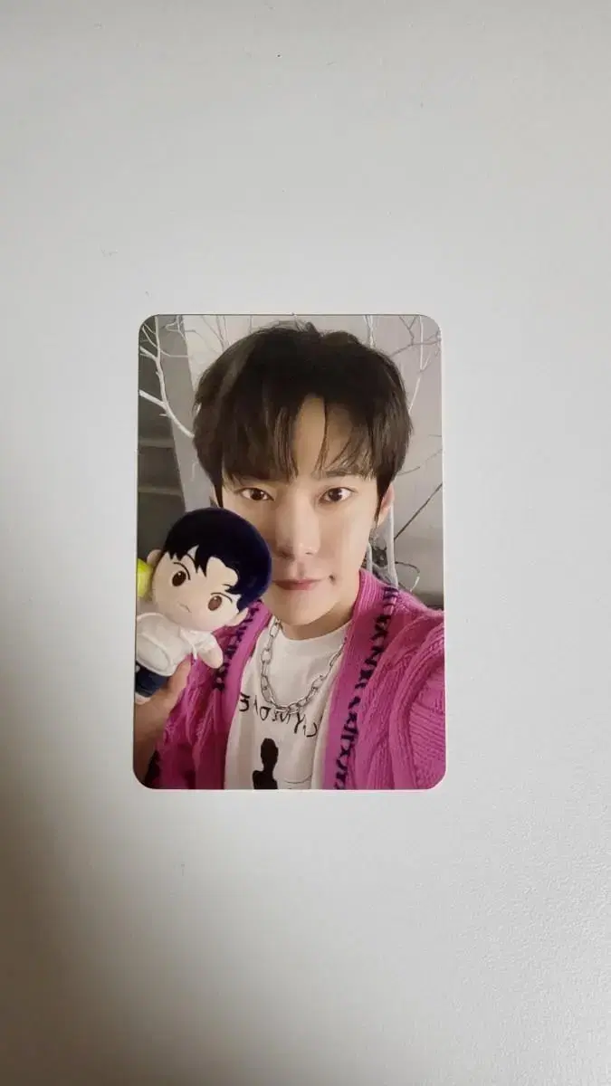 Kidz doyoung doll photocard