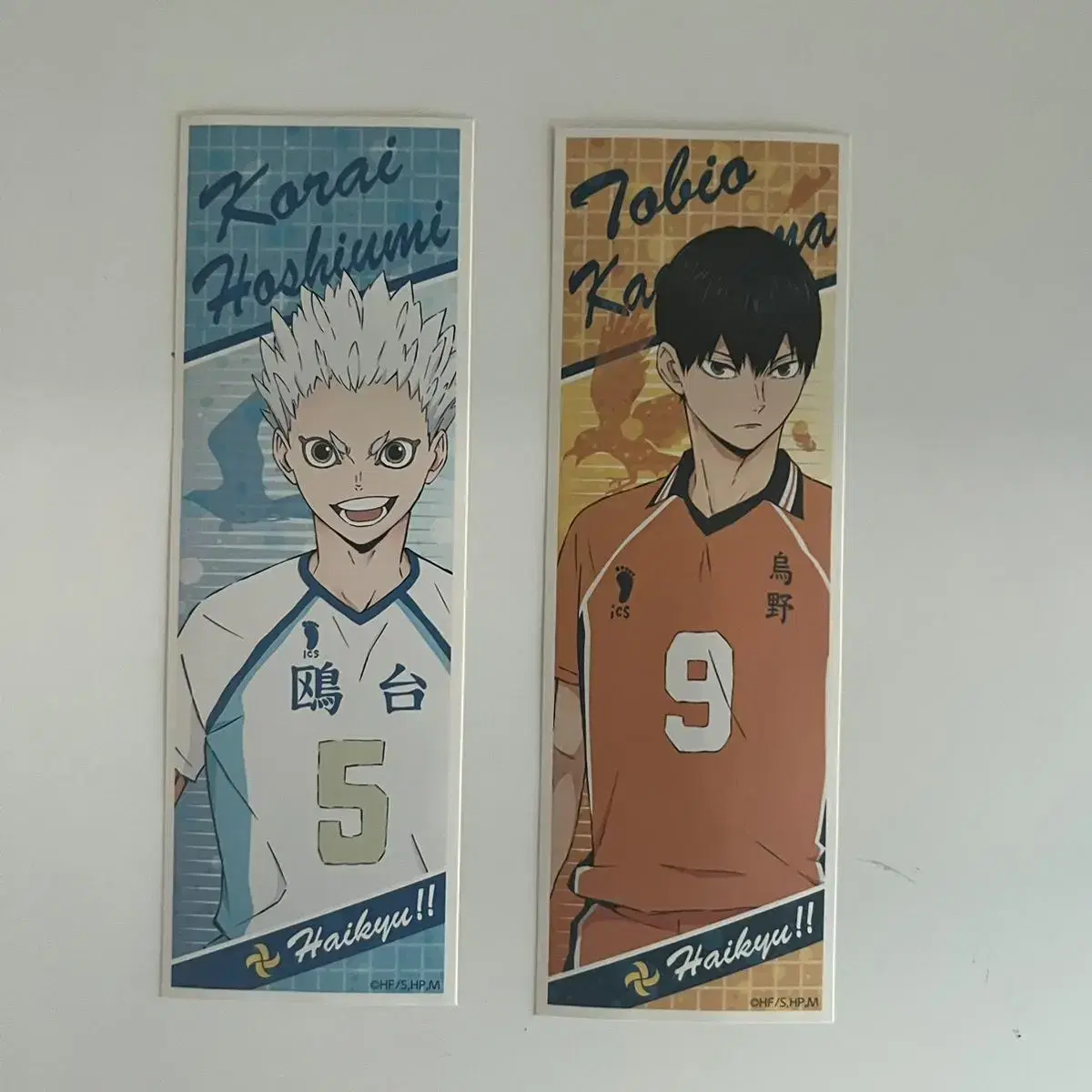 Haikyuu Kageyama Hoshiumi sticker Sells