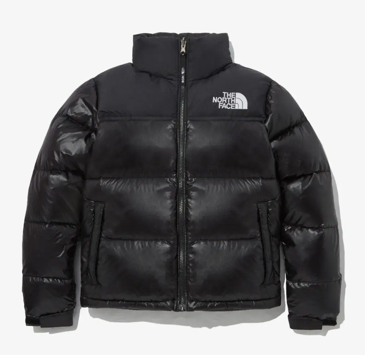 W'S 1996 ECO NUPTSE JACKET 눕시 여성용매장판