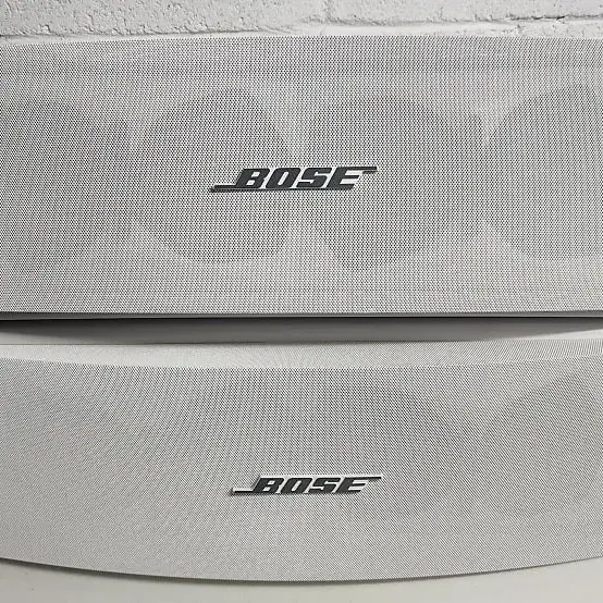 Bose Panaray402-II 풀레인지 스피커 (2통)