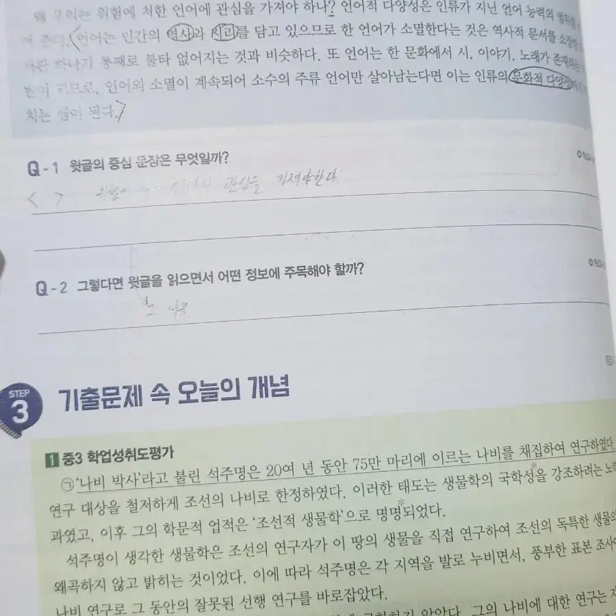 윤혜정의 나비효과 입문편+워크북