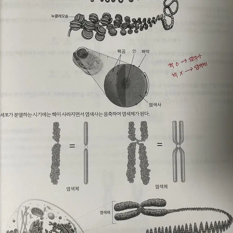 윤도영t 생명 올어바웃, 인피니트 에볼루션 유전 교재