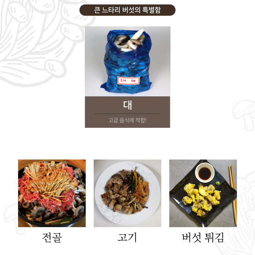 큰 느타리버섯 판매합니다.    1kg2kg벌크상품 입니다.