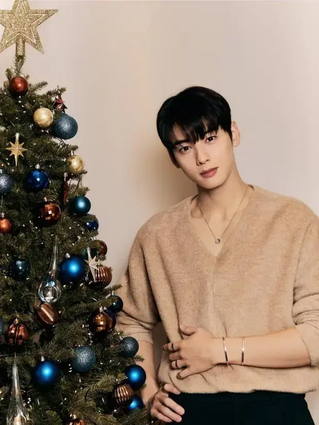 Cha eunwoo wears sefr ezra sweater alpaca sweater[L].