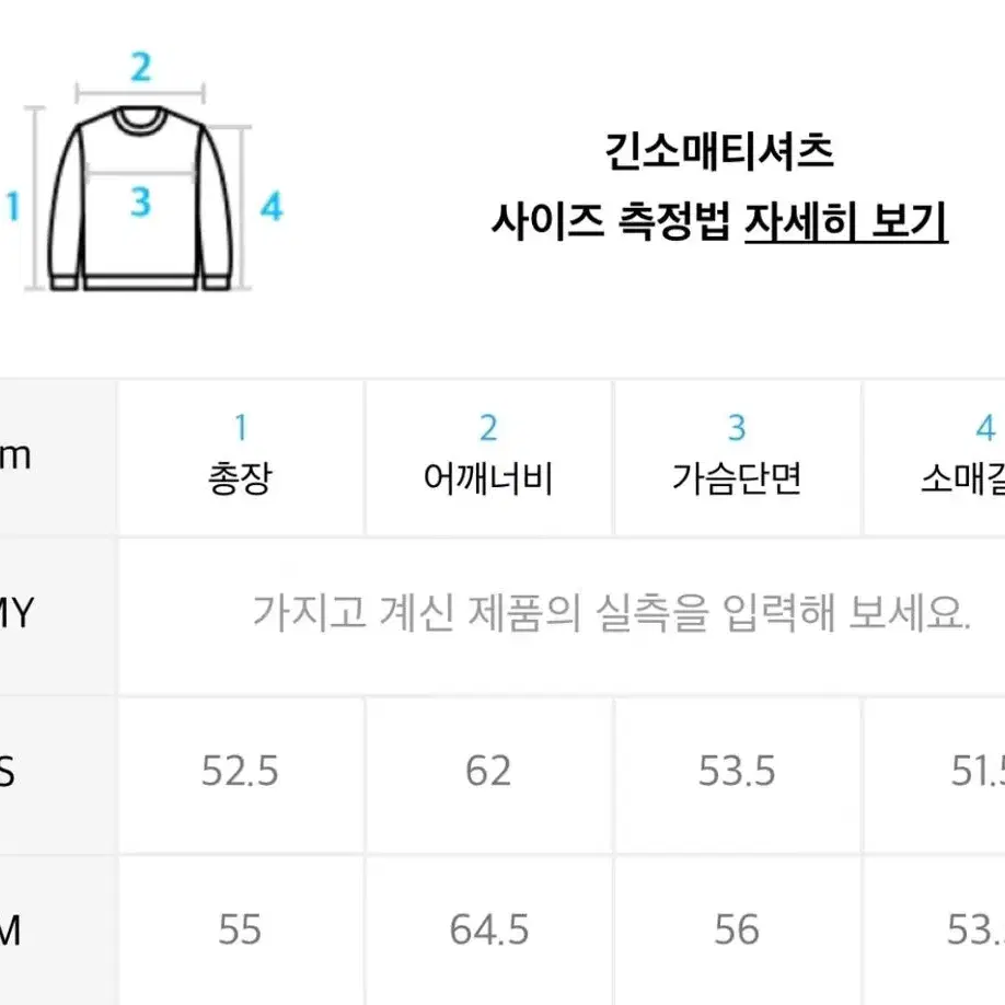 아플리케 세미 크롭 맨투맨