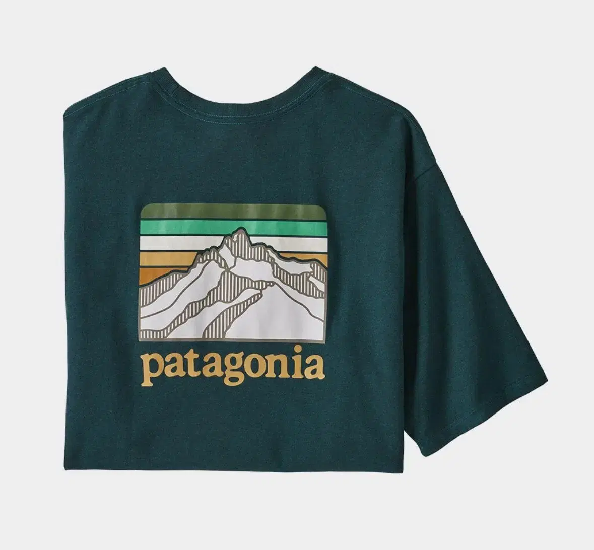 (New) Patagonia Short Sleeve Logo Ridge Pocket Short Sleeve Tee Size Small