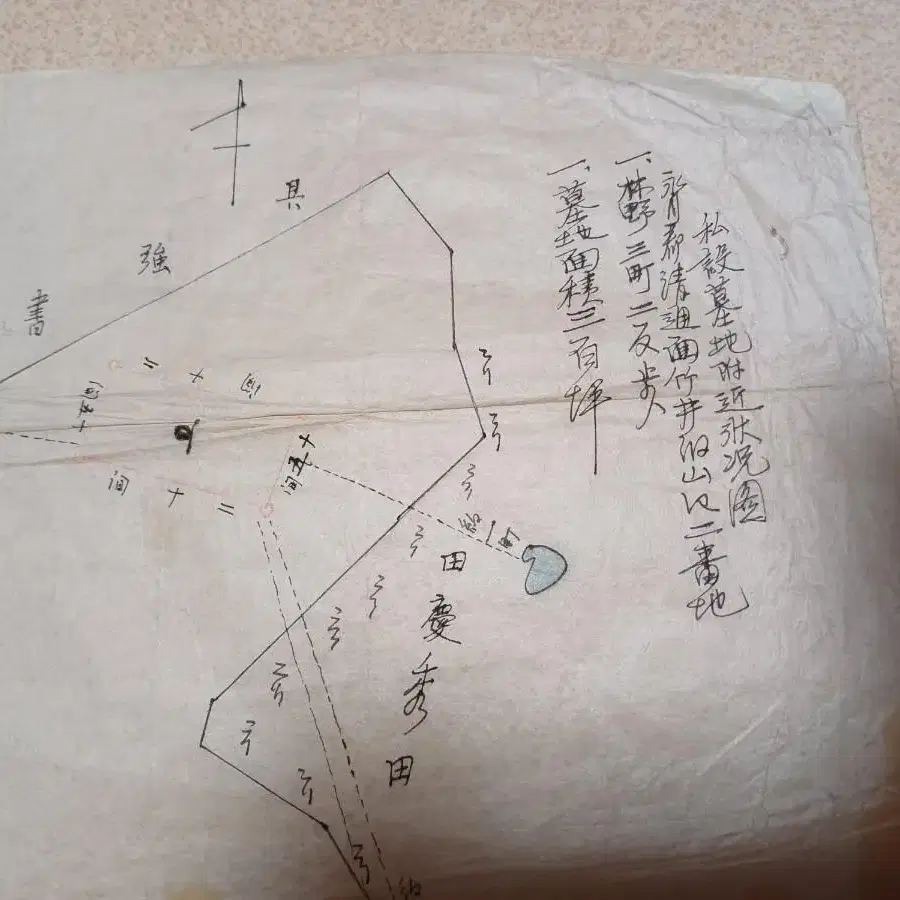 영천군 청통면.사설묘지상황도