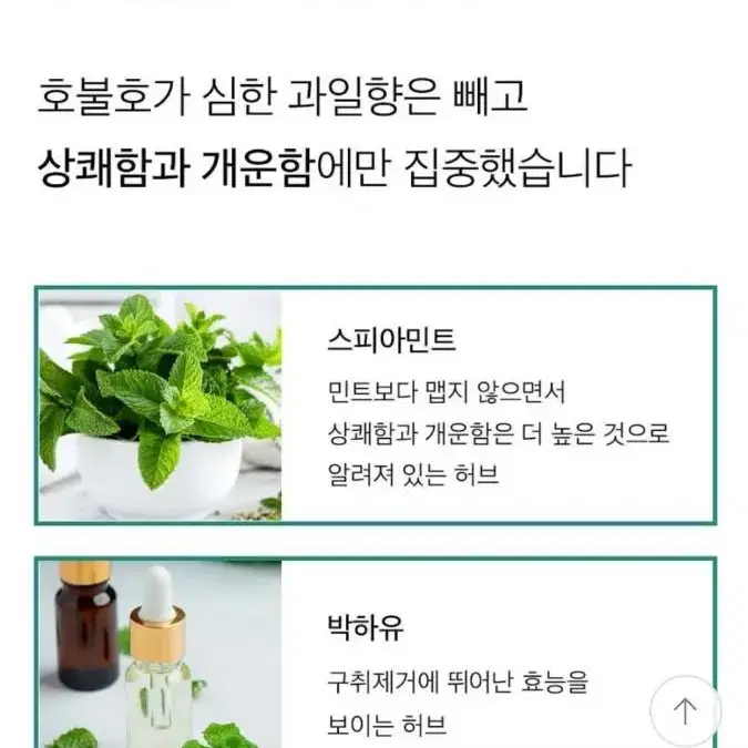 민티드 고체치약  180정.