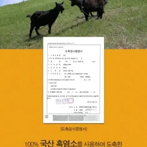 맞춤 흑염소 진액 70ml 30포(전용쇼핑백 포함)