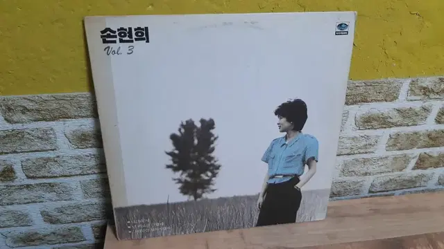 손현희 3집 lp