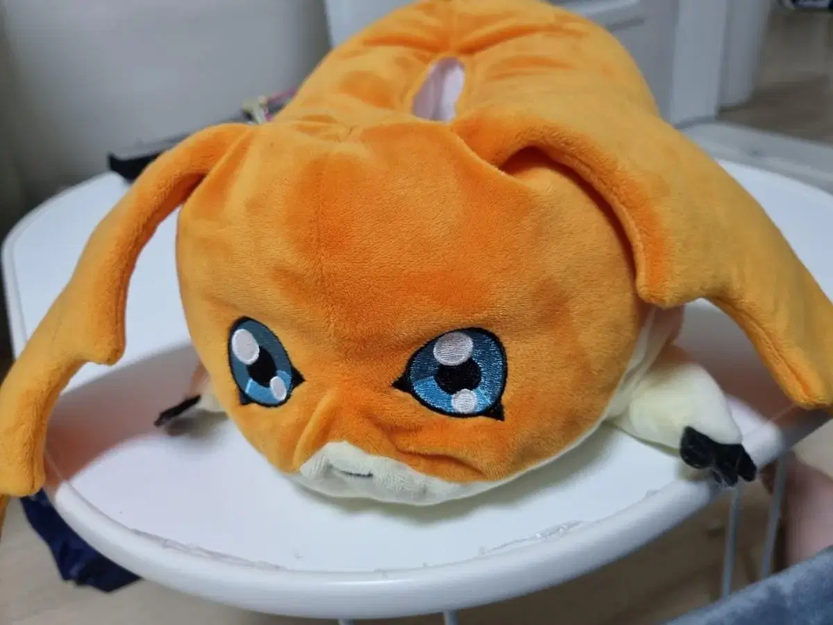 Padakmon Tissue Case