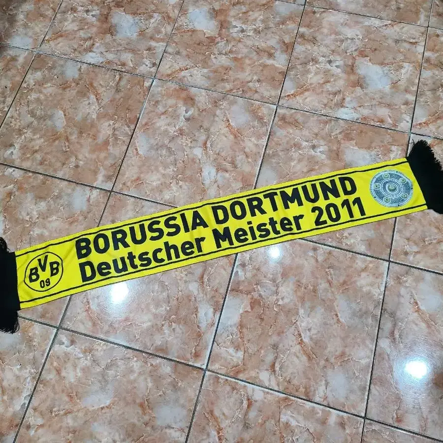 2011 BVB 도르트문트 머플러