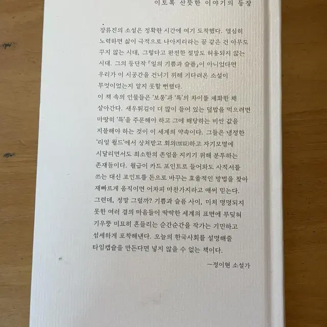 창비 장류진 소설집 [일의 기쁨과 슬픔]