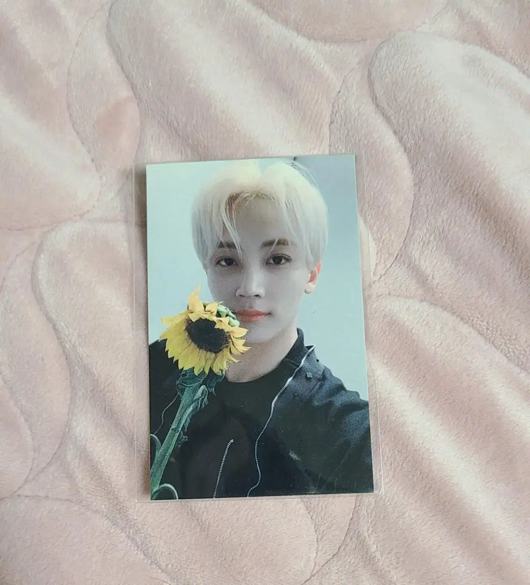 <<가격내렸어요>> seventeen jeonghan Home Sunflower WorkshopPhotocard wts!!!