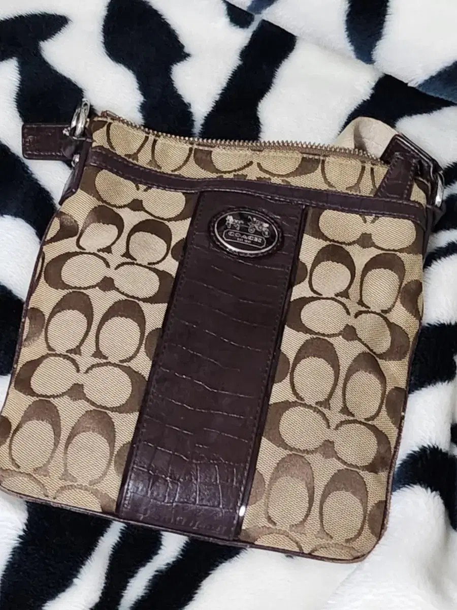 Coach Crossbody Bag