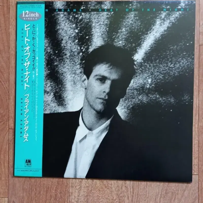 Bryan adams lp 브라이언 아담스 일본반 엘피