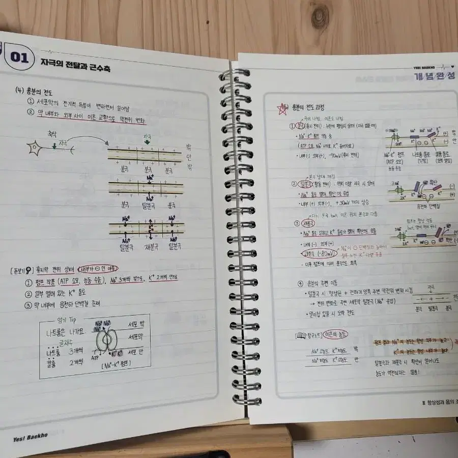 2023 백호 생1 서브노트