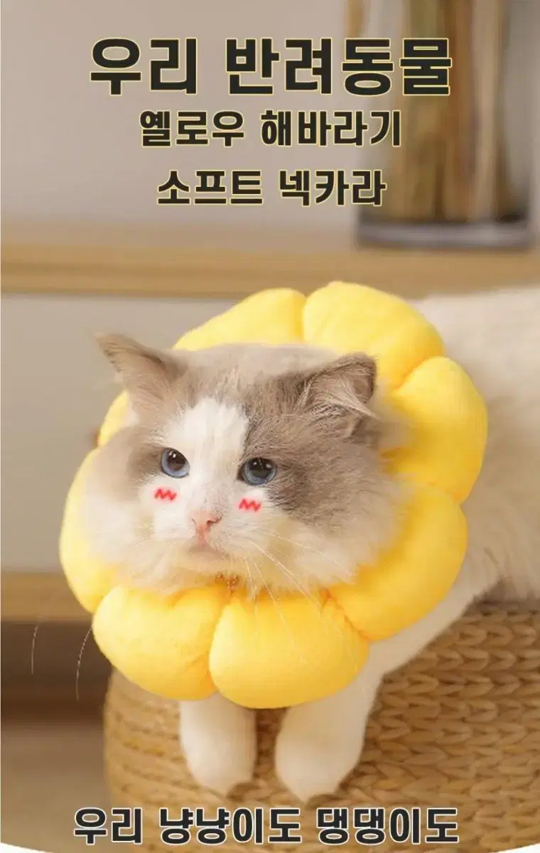 강아지 고양이 소프트 넥카라