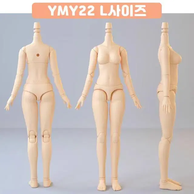 YMY22~24바디 / OB22~24호환