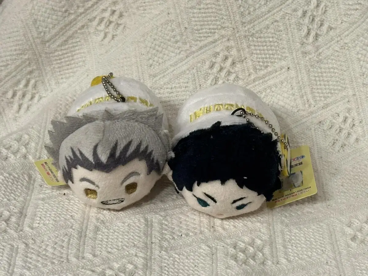 Bokuto Akaashi Mochimasu 5-shot bulk