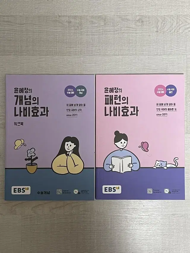 ebs 윤혜정 개념의 나비효과 워크북, 패턴의 나비효과