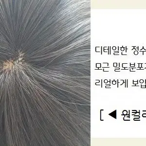 여성 중년 아줌마 엄마 단발파마 가발