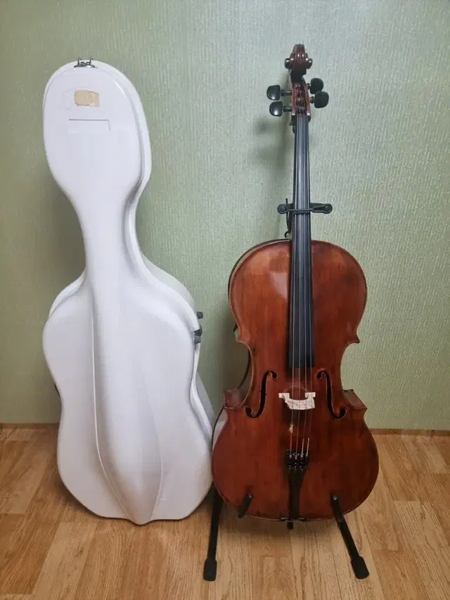 전공자용 고급 첼로(cello)