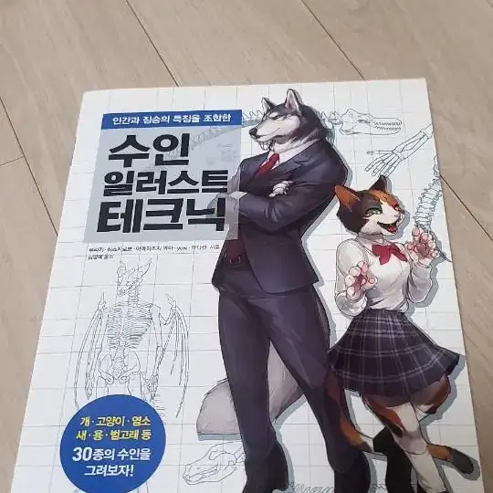 수인 일러스트 테크닉