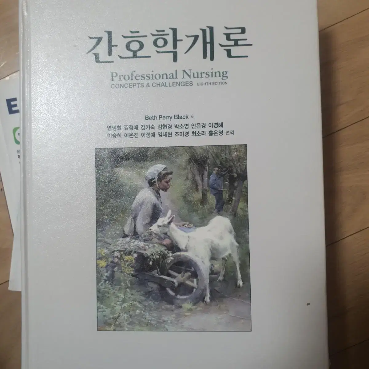 간호학개론