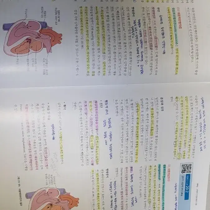 성인간호학 수문사 9판개정