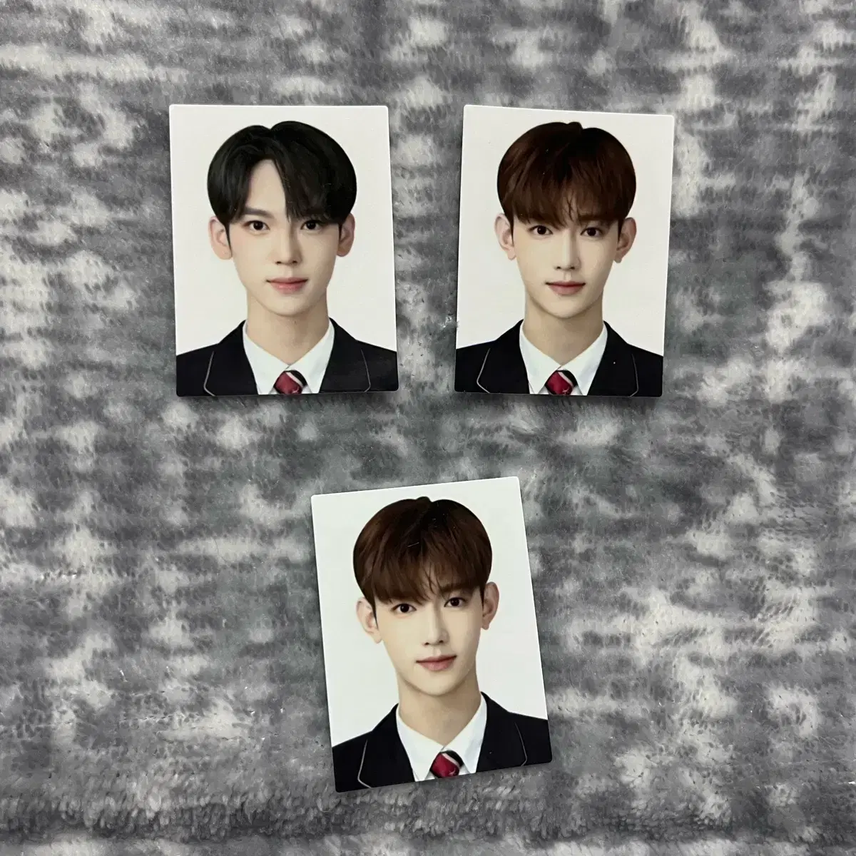 ZB1 증사 wts Boyzplanet Bopple zhang hao han yujin Sung Hanbin