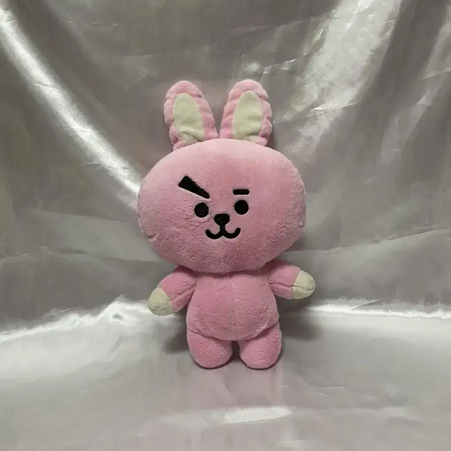 BT21 인형