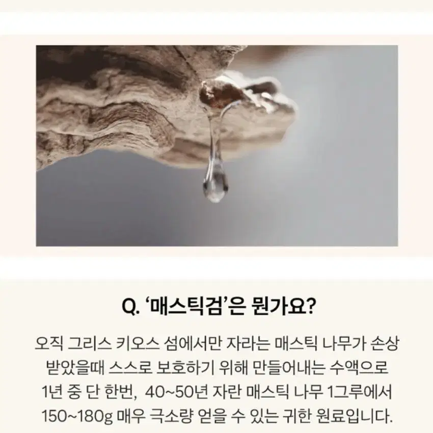 매스티나 화이트매스틱 미스트 앰플