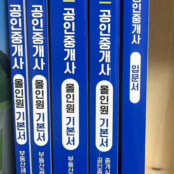 메가랜드 공인중개사