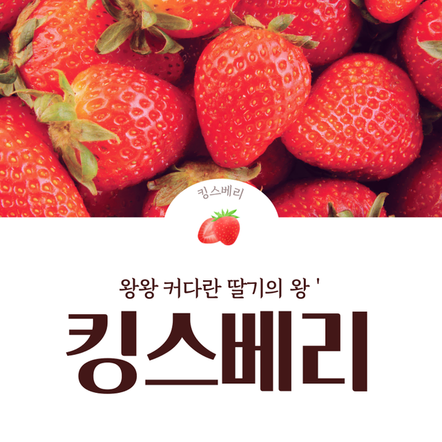 귀족딸기 대왕딸기 논산 킹스베리 생딸기(개당 45g~55g) 무료배송