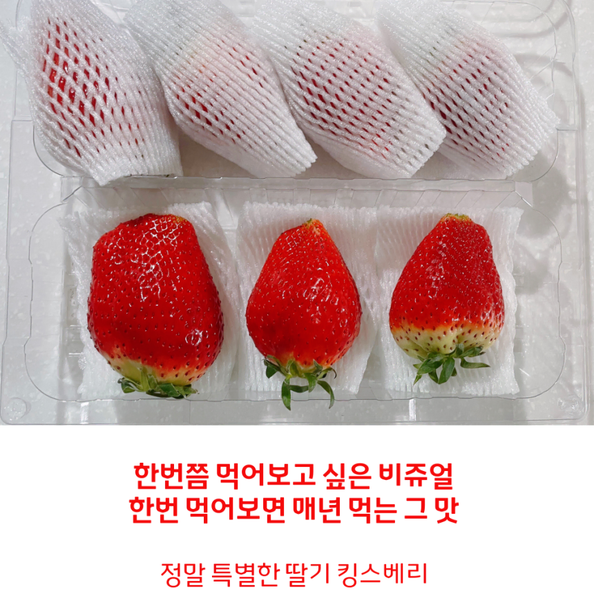 귀족딸기 대왕딸기 논산 킹스베리 생딸기(개당 45g~55g) 무료배송