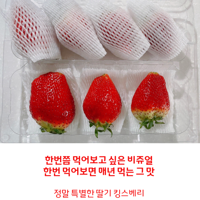 귀족딸기 대왕딸기 논산 킹스베리 생딸기(개당 45g~55g) 무료배송