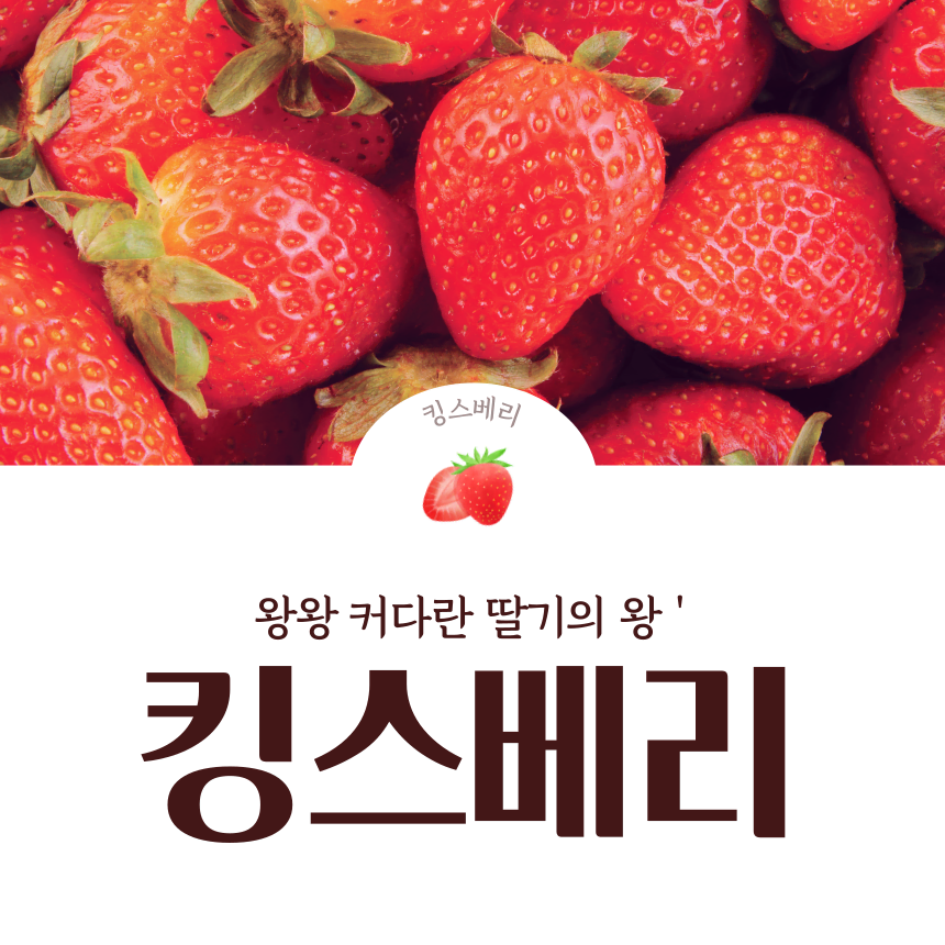 귀족딸기 대왕딸기 논산 킹스베리 생딸기  (개당 45g~55g) 무료배송