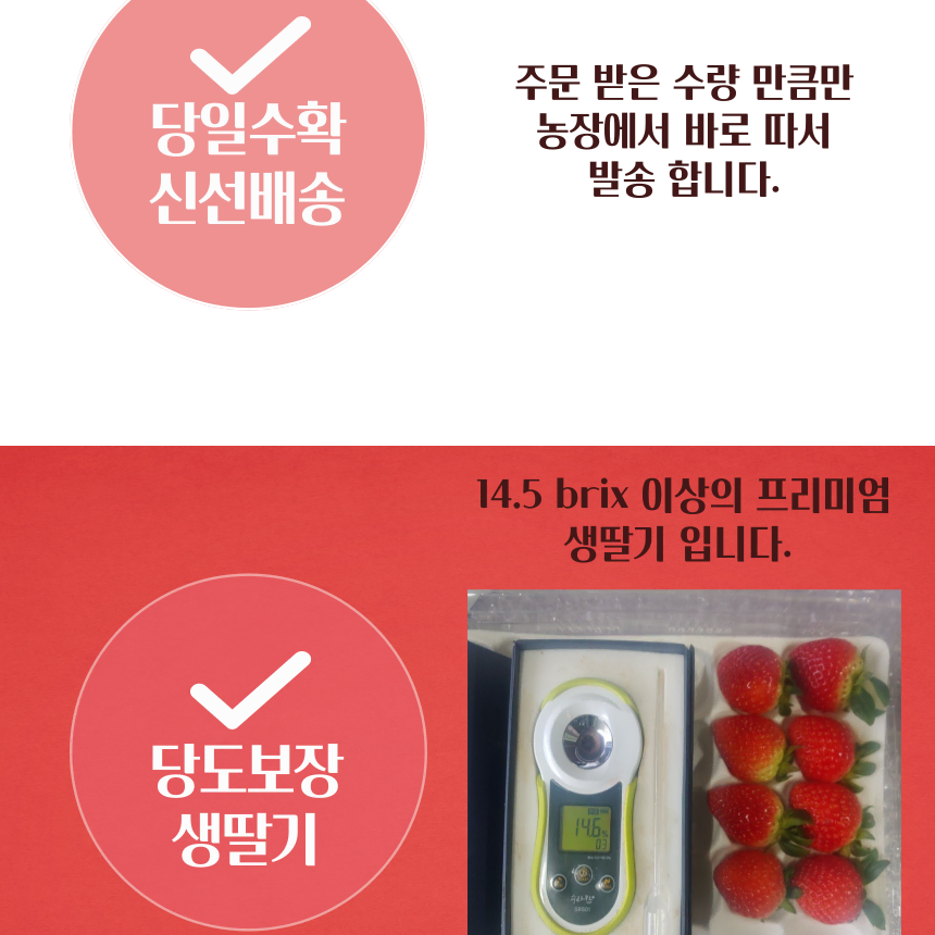 [당도보장] 생딸기 초신선한 고당도  설향딸기 [왕특 800g 30개]