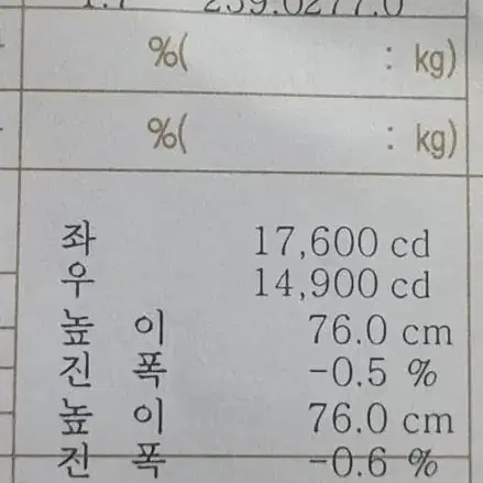 그랜드카니발리무진 9인승 조수석라이트